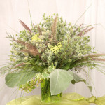 Eryngium planum Glit...