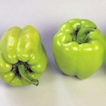 Chile Pimiento Pompe...