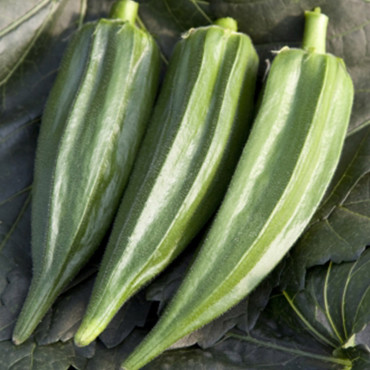 Okra Green Fingers...